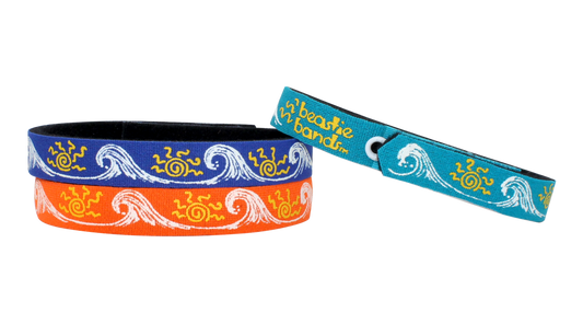 Beastie Bands - Sun and Surf