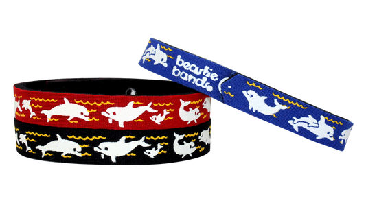 Beastie Bands - Playful Dolphins